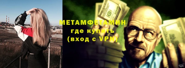 шишки Заволжье