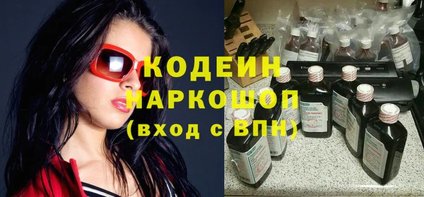 шишки Заволжье