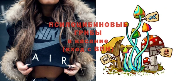 твердый Заволжск