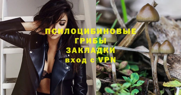 твердый Заволжск