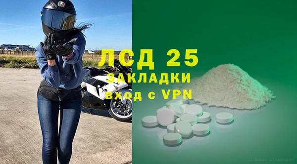 шишки Заволжье